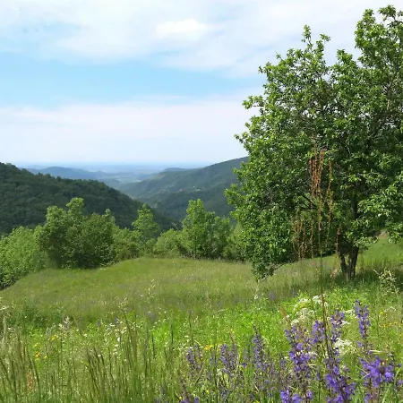 Locazione Turistica Alloggio Da Massimo - Nat370 Ferienhaus San Leonardo (Friuli)